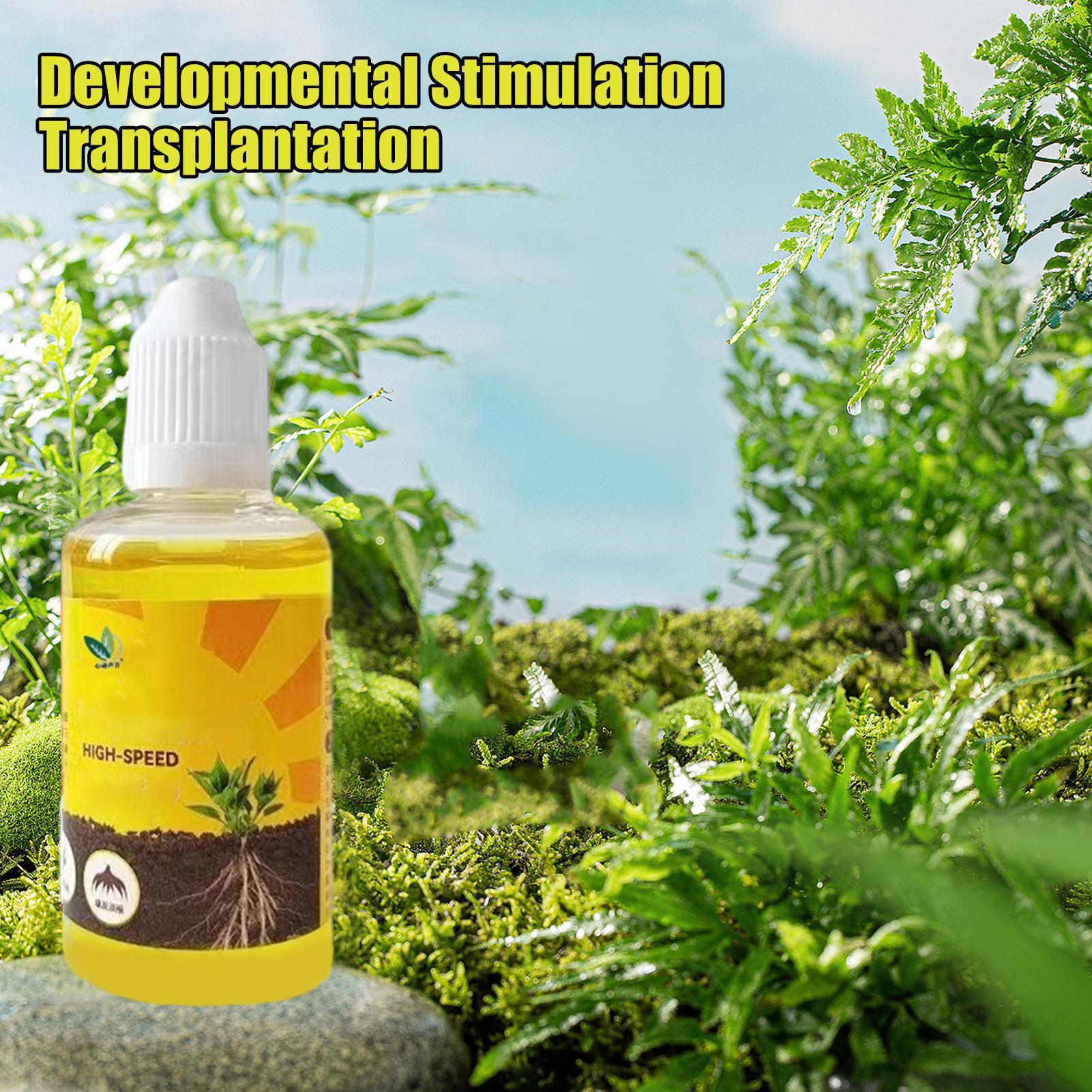 50ml 식물 뿌리 자극제 액체 식물 뿌리 부스터 액체 - Root Stimulator Liquid 리뷰 및 가격